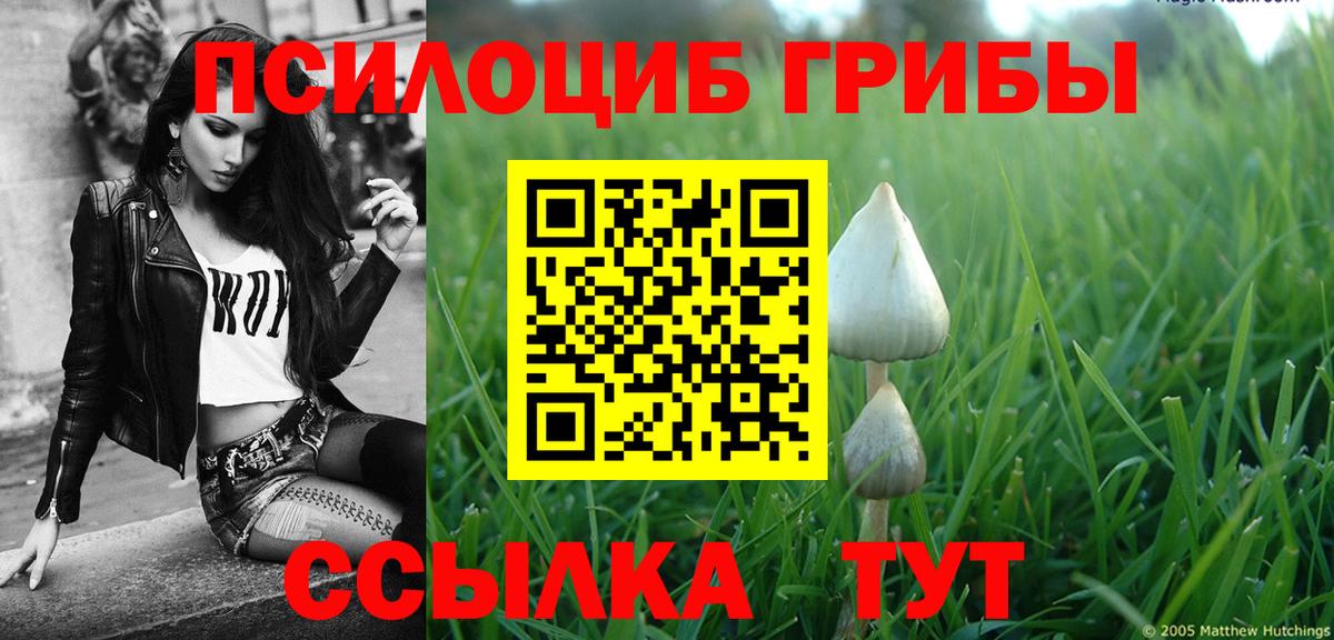 Псилоцибиновые грибы ЛСД  Псилоцибиновые грибы мухоморы  Вход с VPN  Валуйки 