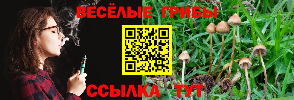 Псилоцибиновые грибы Cubensis Валуйки